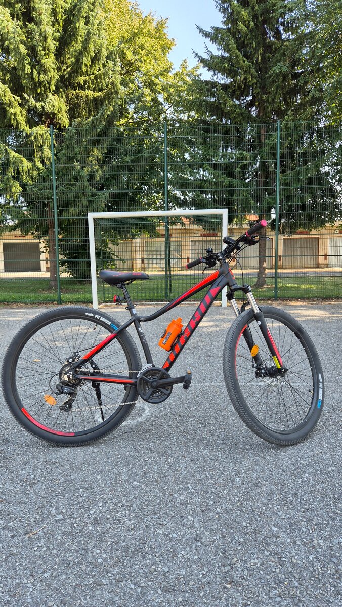 Dámsky horský bike Mayo XC 29" Basic D - 8