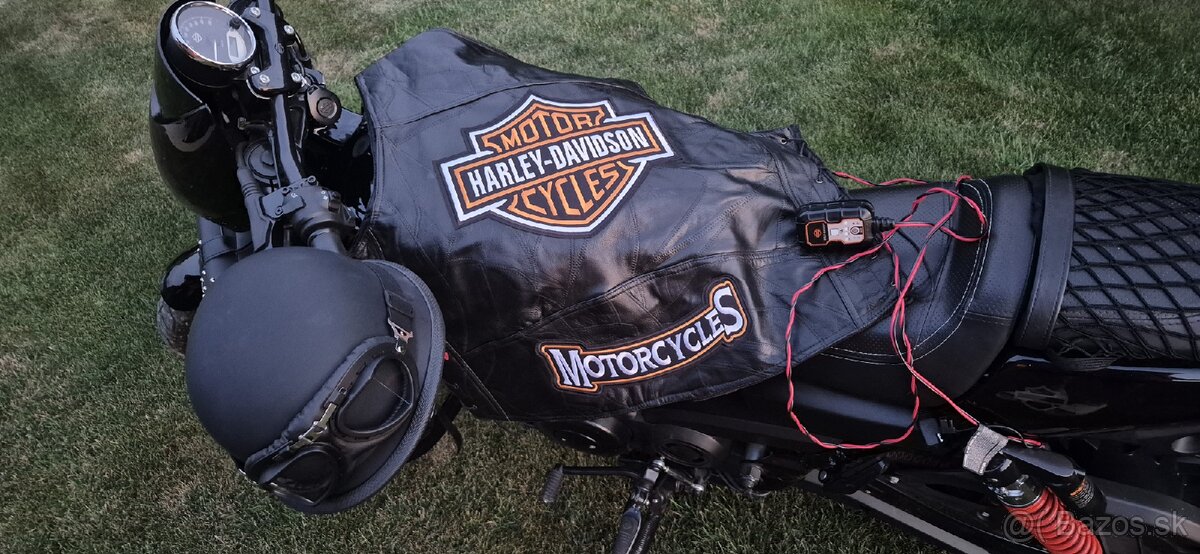 Harley-Davidson street rod - 8