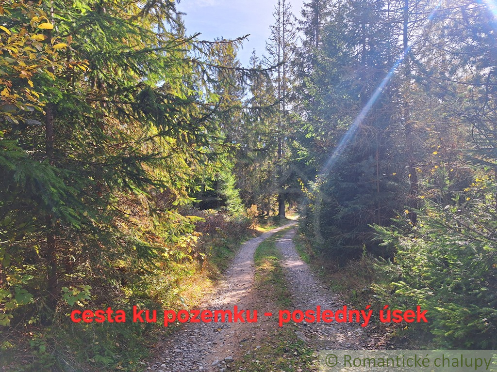 Slnečný rekreačný pozemok v lese pod Vysokými Tatrami v lo - 8