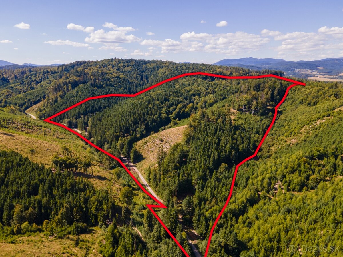 HOSPODÁRSKY LES V OBCI BUDIŠ V OKRESE TURČIANSKE TEPLICE - 8