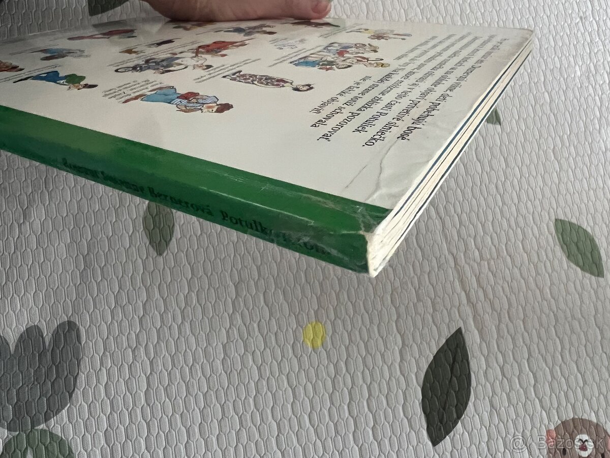 Potulky letom - velke obrazkove leporelo Rotraut Bernerova - 8