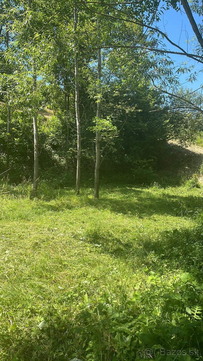 Výmena Krásny pozemok v obci Povina - 8
