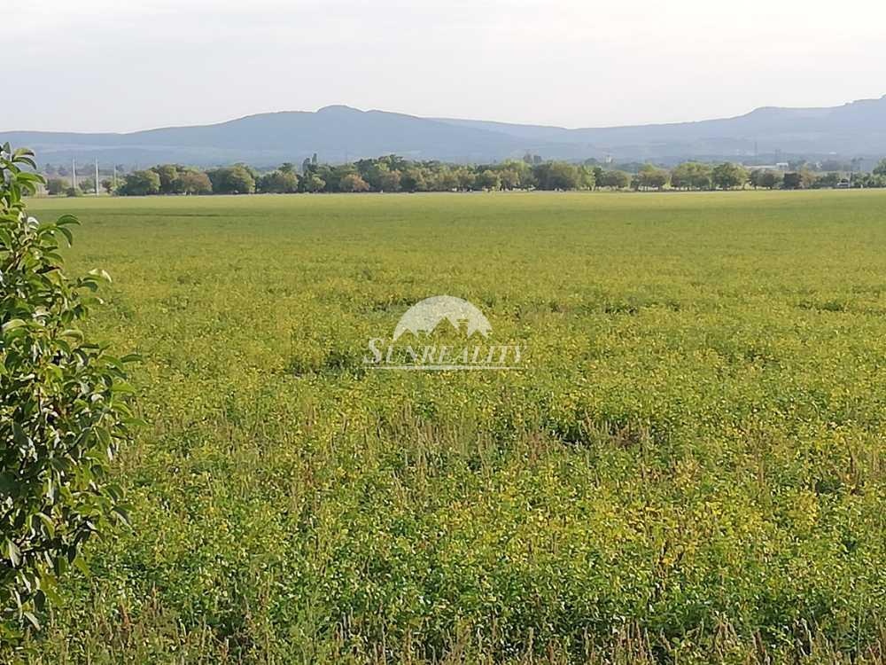 ZNÍŽENÁ CENA LEN U NÁS Predám - Viničný dom s vinohrad - 8