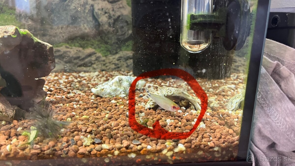 Akvárium s vybavením - 8