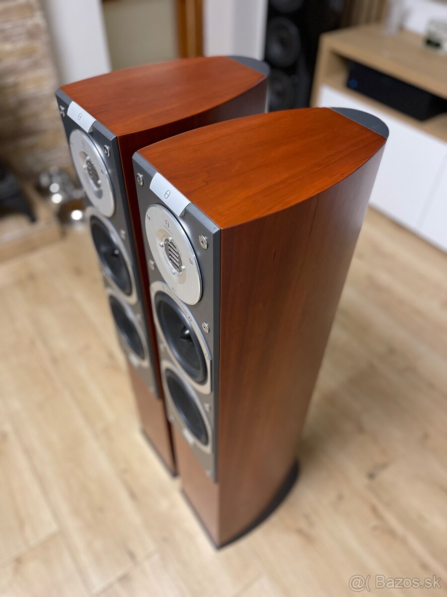 Audiovector SR3 Avantgarde - 8