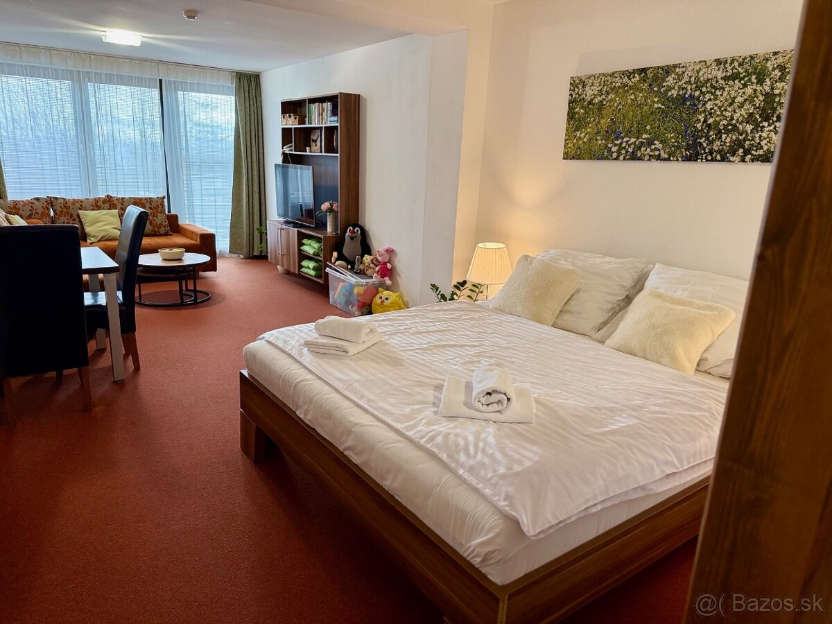 Atraktívny apartmán Vysoké Tatry - 8