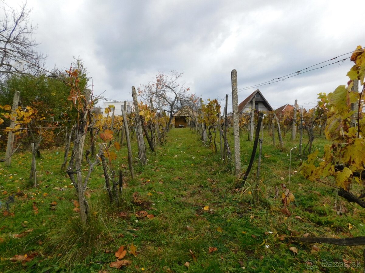 Romantický viničný domček . - 8