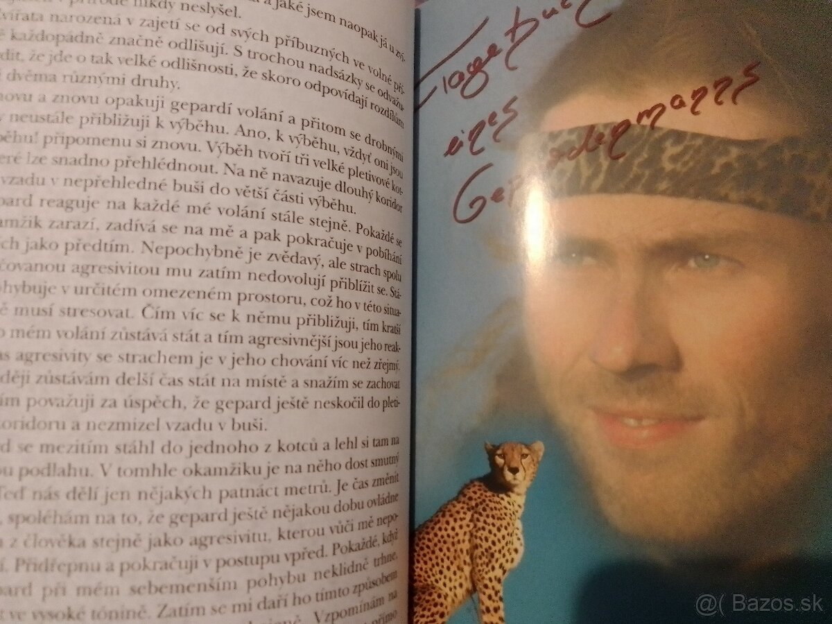 Knihy- mačky, zvieratá, levy, fínčina, Calm (v angličtine) - 8