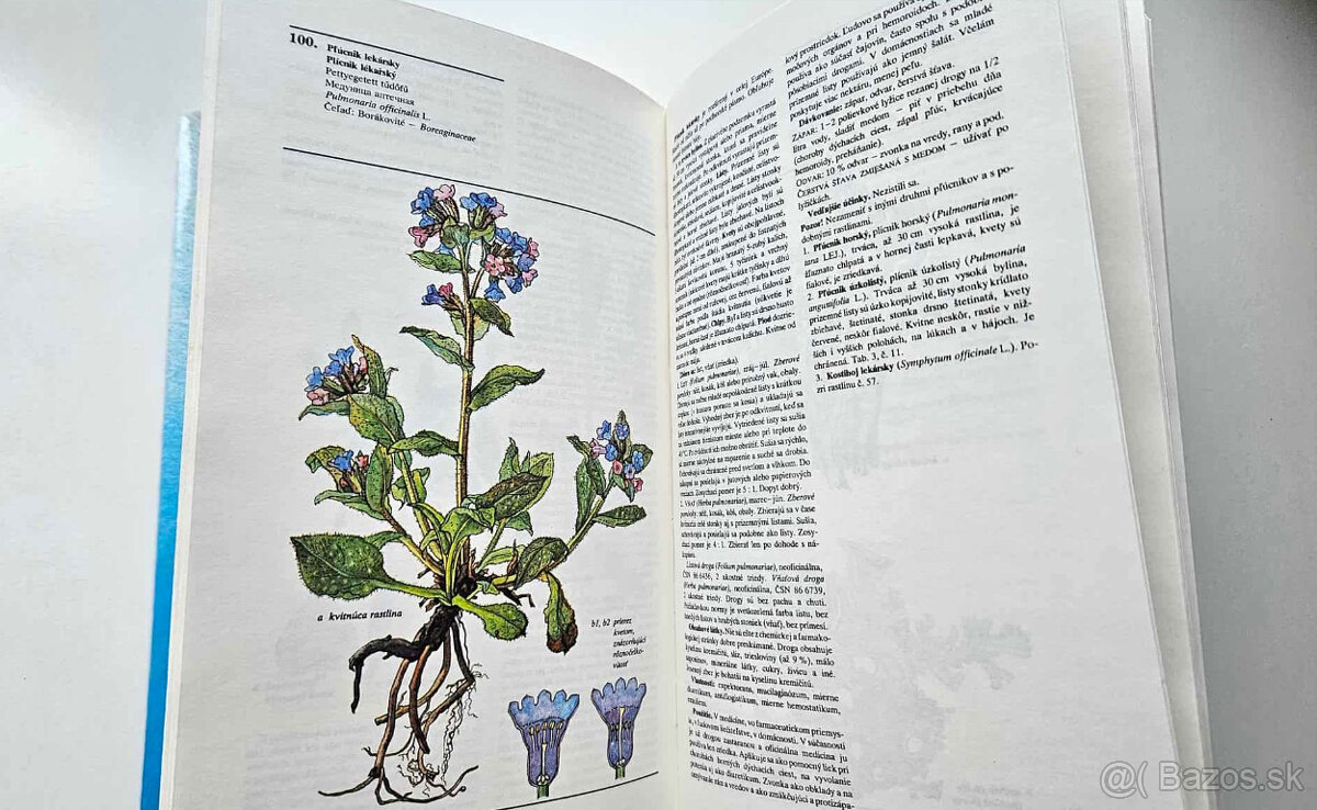 kniha 'Naše liečivé rastliny' - 8