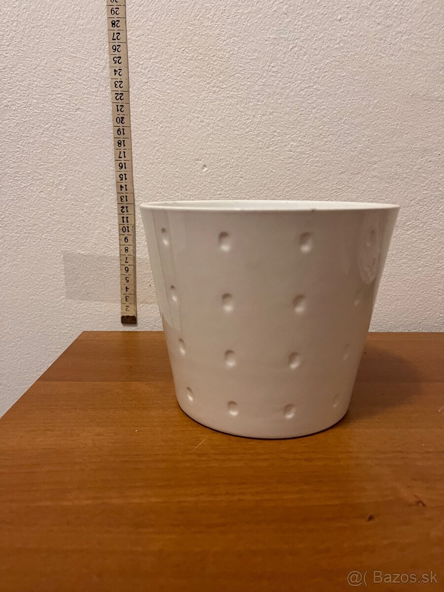 Kvetinče na predaj - 8