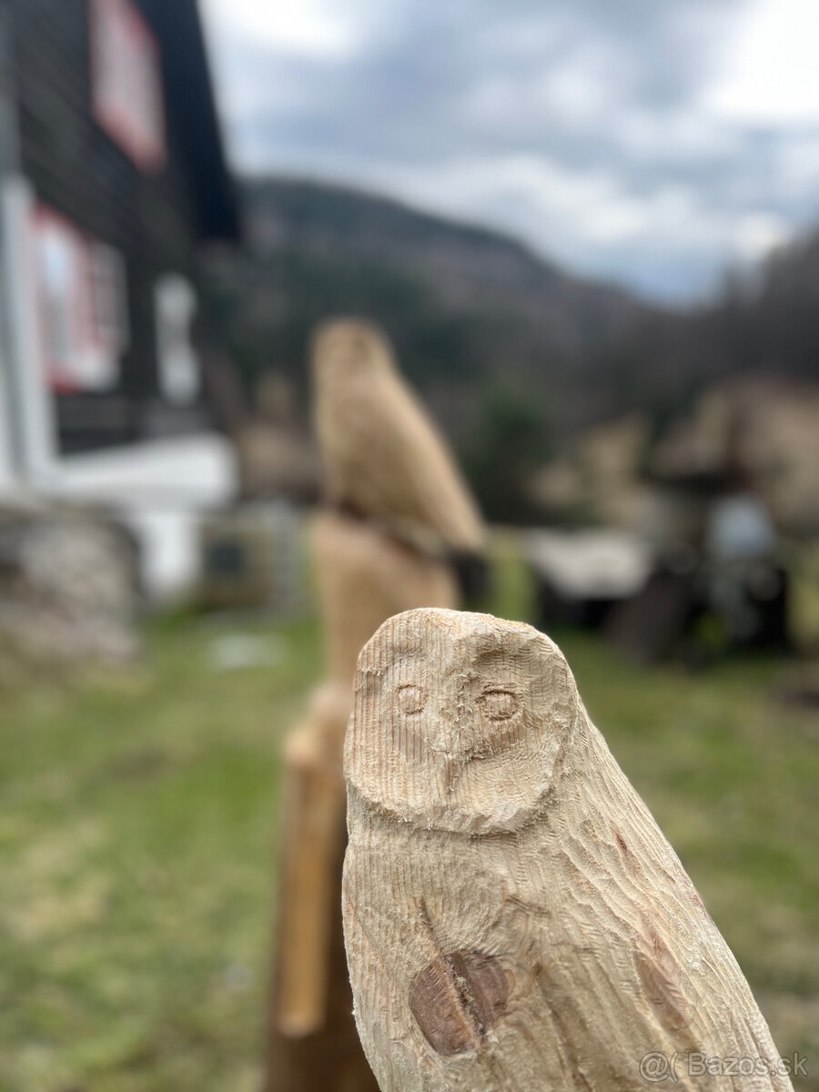 Drevené sochy sovy🦉 - 8