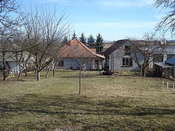 Krnča dva domy + veľká záhrada - 8