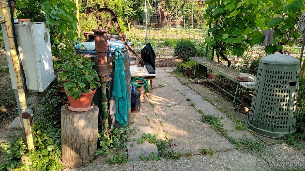 Záhrada s chatkou Šaľa - Veča - 8