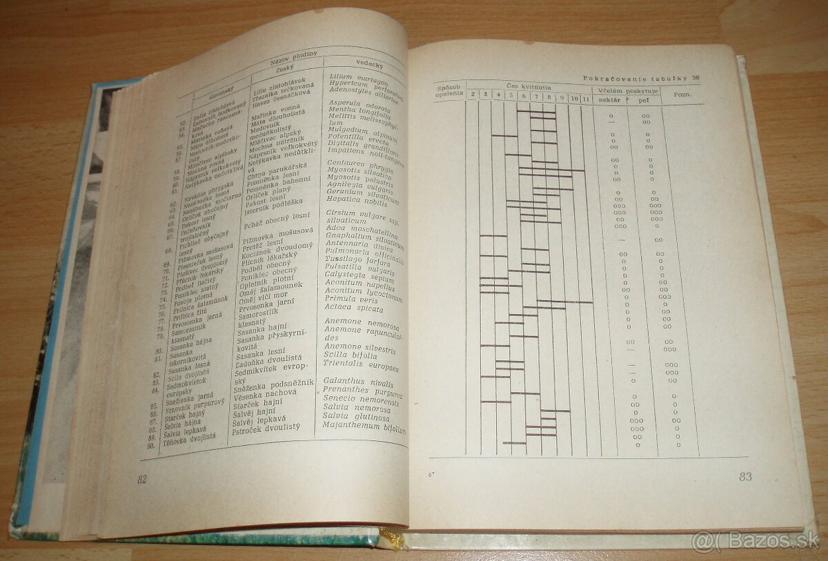 Kočovanie so včelstvami - 8