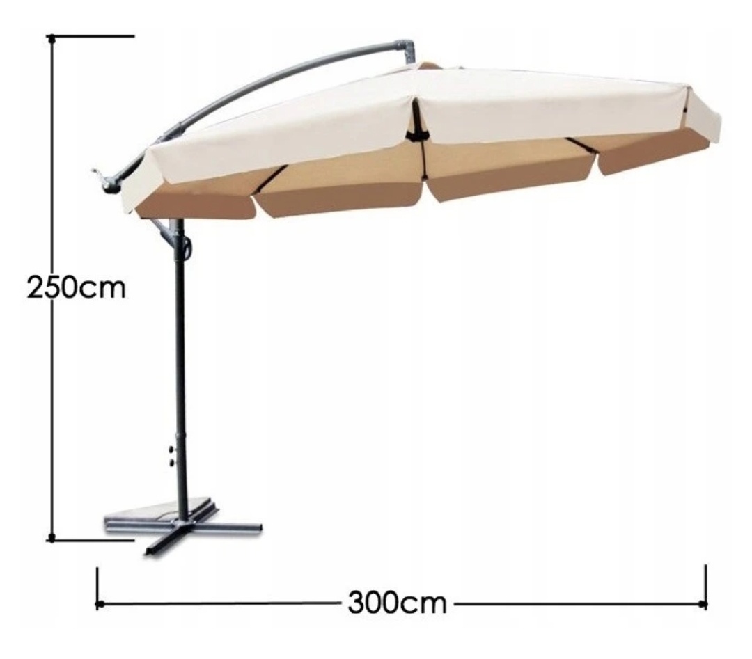 Slnečník záhradný - 8