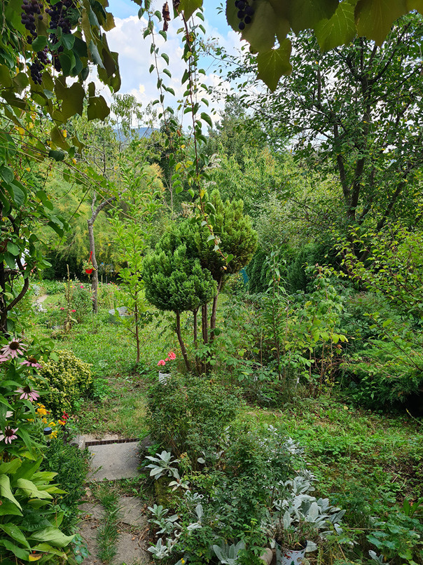 Záhrada s murovanou chatou s nádherným výhľadom - 8