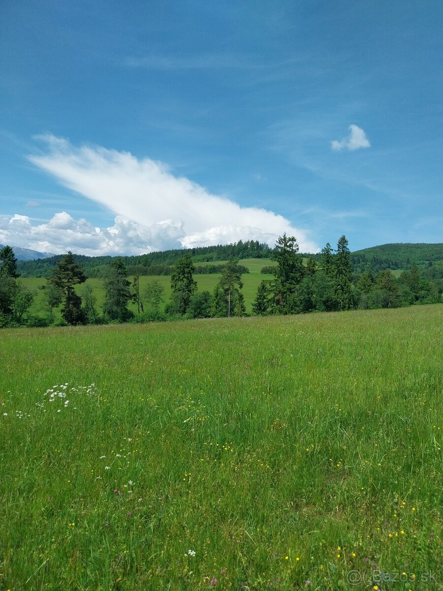 Predám pozemky pod Magurou - 8