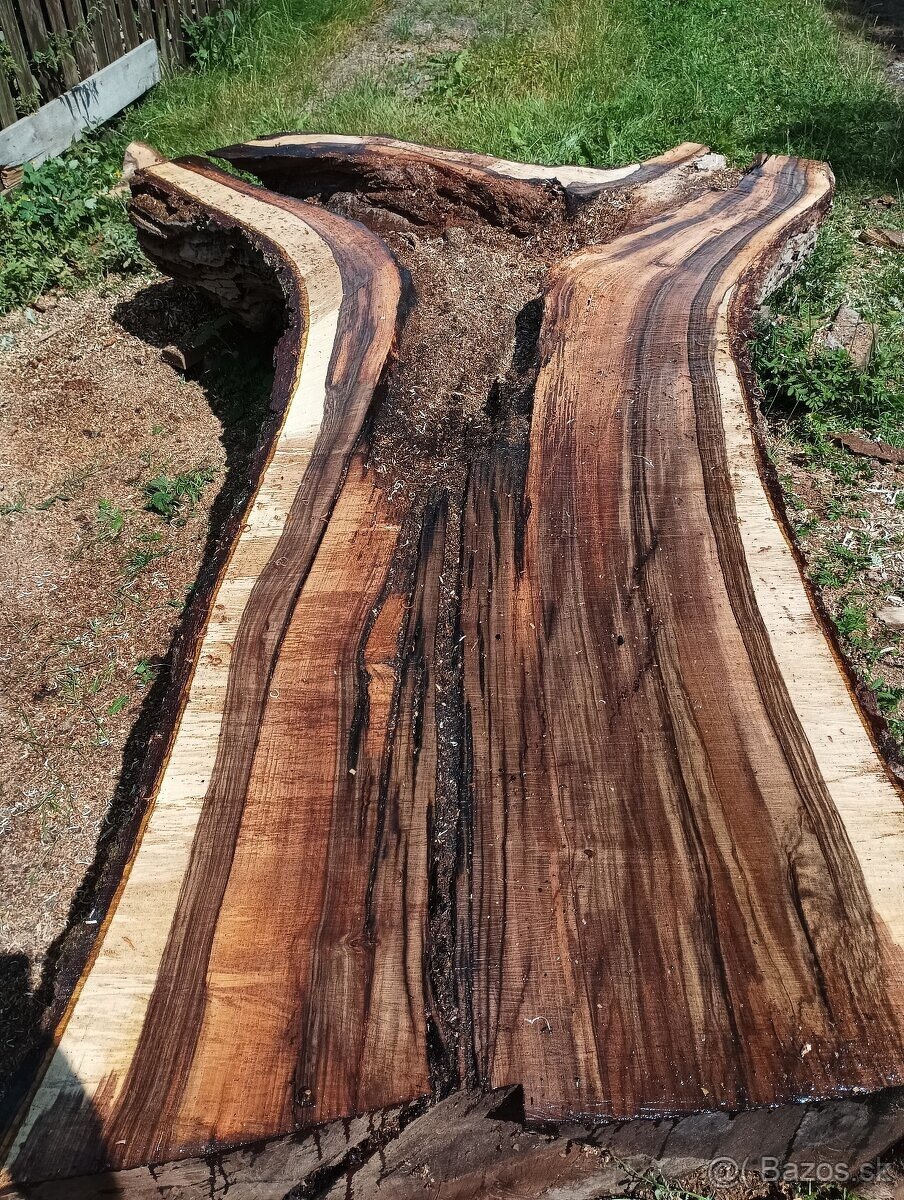 Orechove fosne, hrúbka 84mm - 8