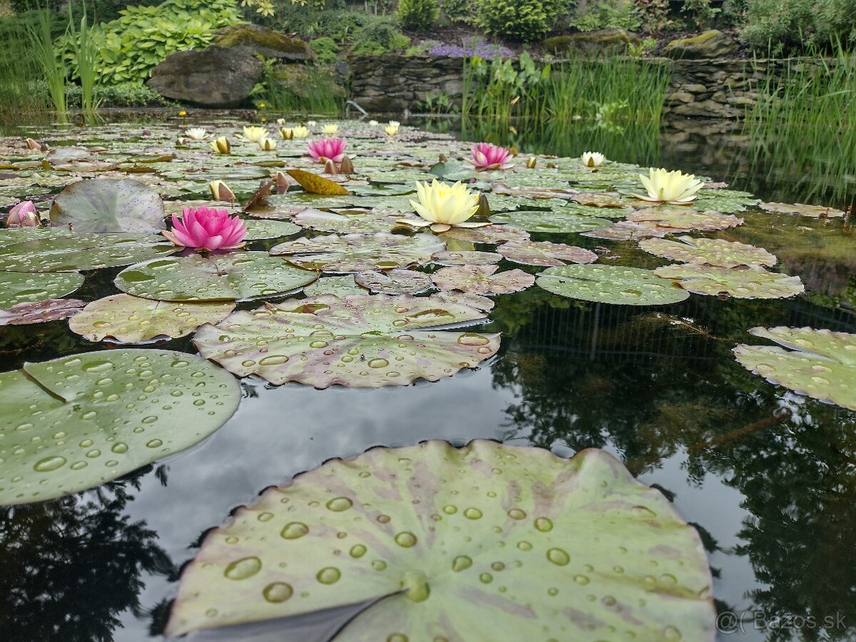 Prenajmem izbu v novom rodinnom dome pri lese v BA Dubravke - 8