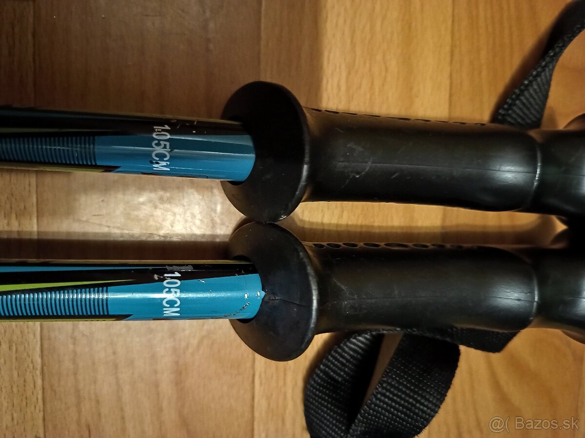 Elan lyže+palice - 8