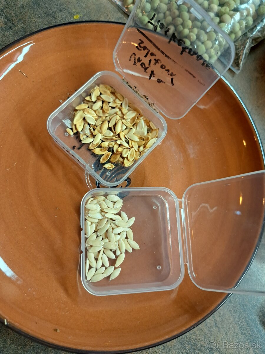 Semená zeleniny a ovocia - 8