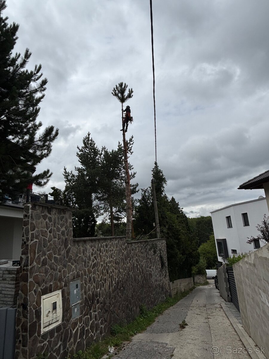 Kosenie/Strihanie/Údržba zelene/Pílenie /Drvenie - 8