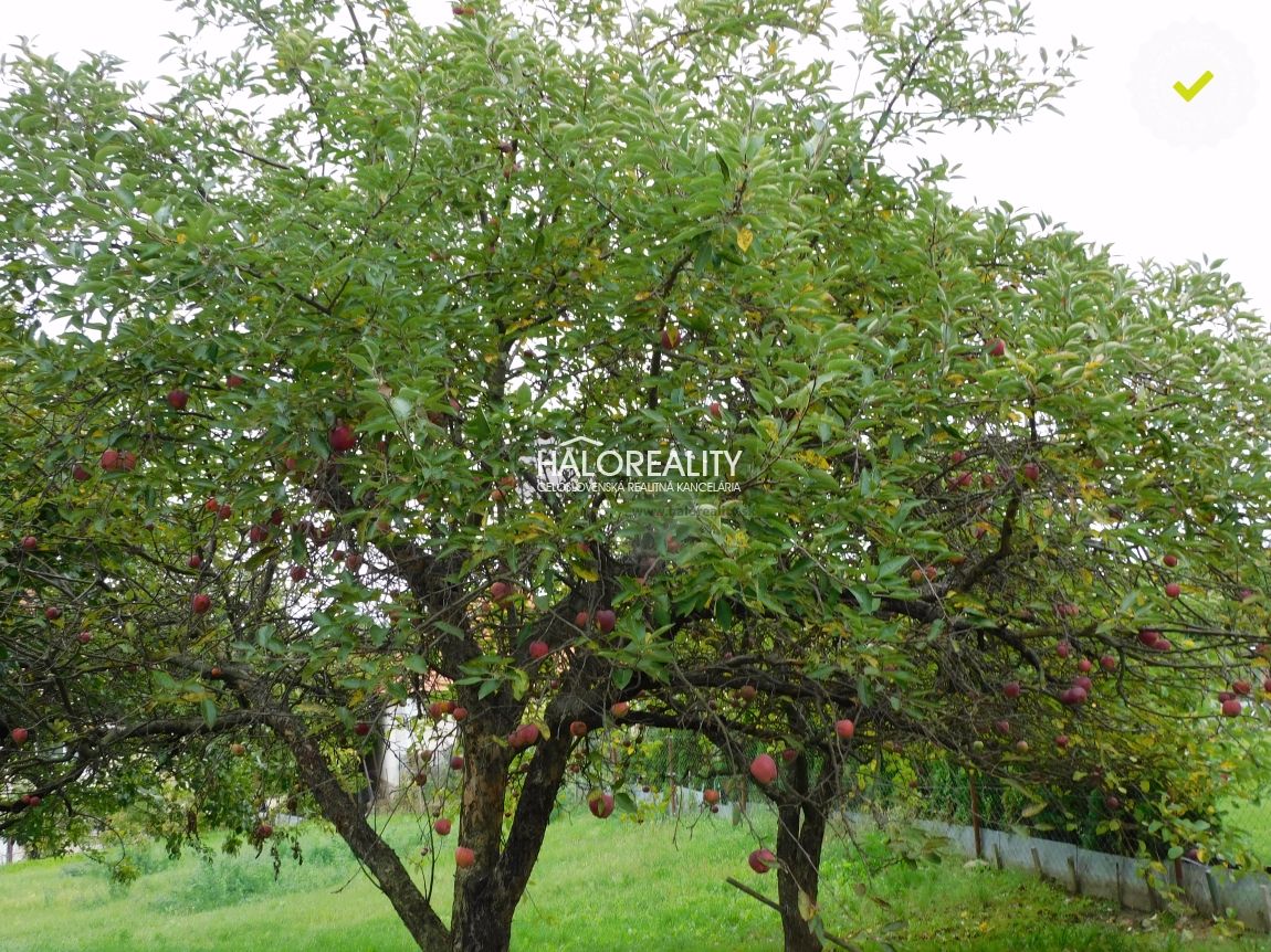 HALO reality - Predaj, rodinný dom Čermany - EXKLUZÍVNE HALO - 8