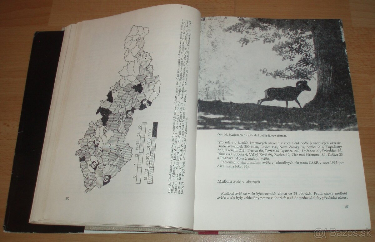 Dutorohá zvěř - 8