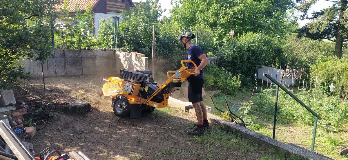 Pílenie stromov, arboristika, výrub stromov, orez stromov - 8