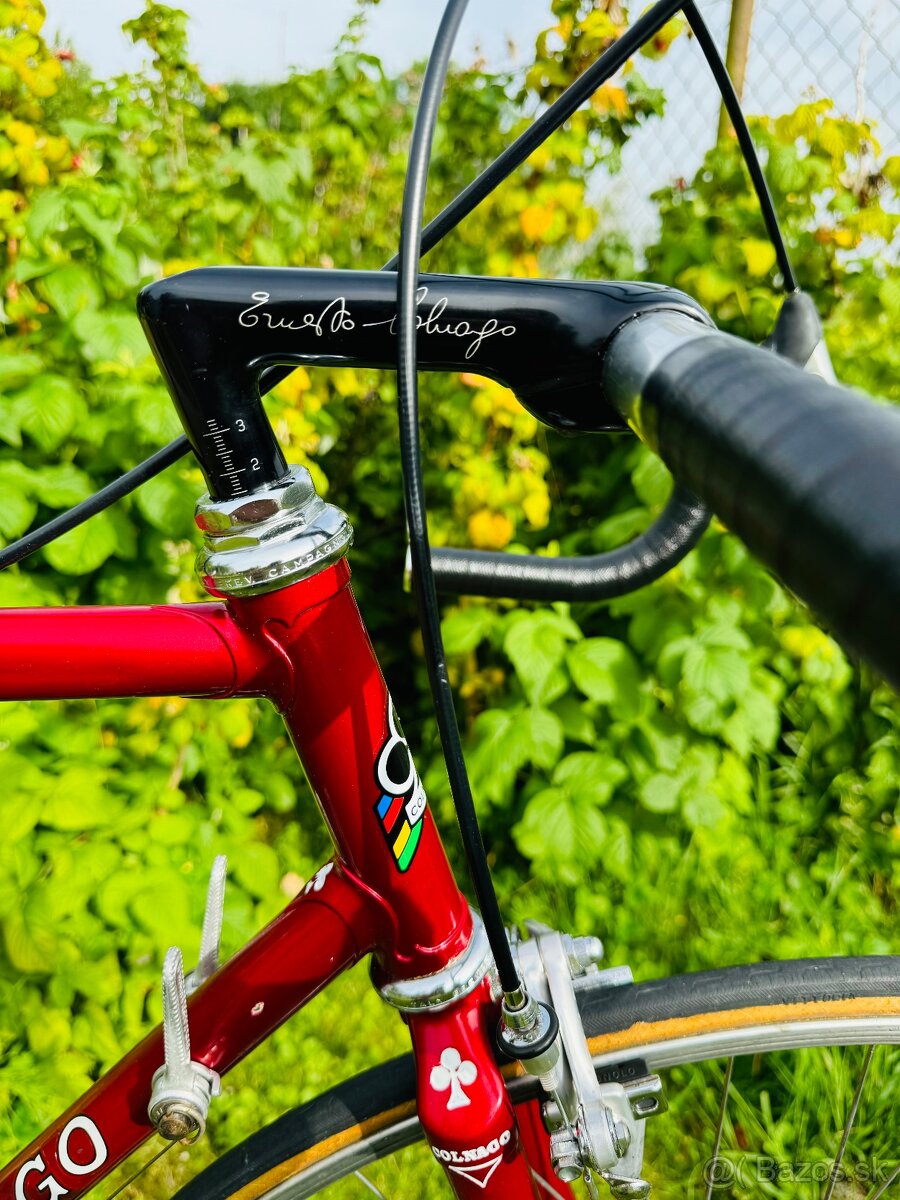 Colnago Nuovo Mexico - 8