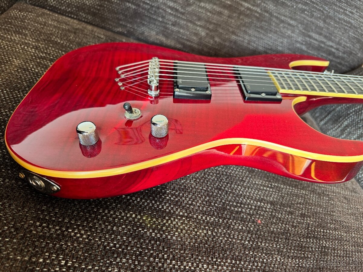 Washburn X50 ProFE gitara - 8