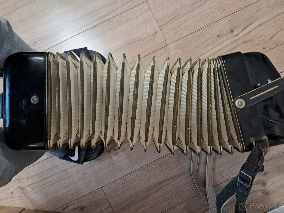 Akordeón Delicia - 8