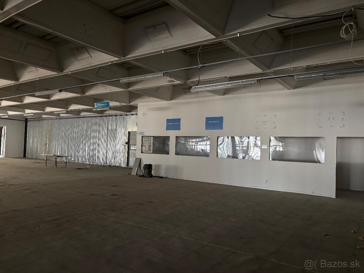 Haly na prenájom - 8