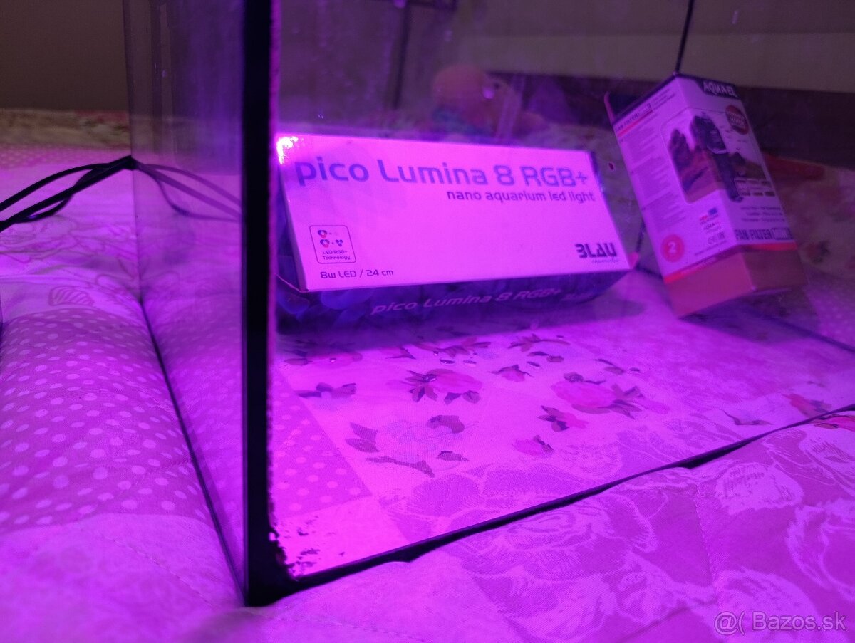 Akvarium pre začiatočníkov - 8