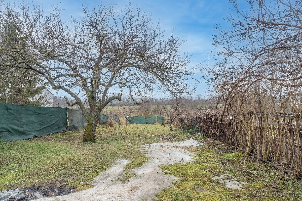 3i Dom Trebatice - 8