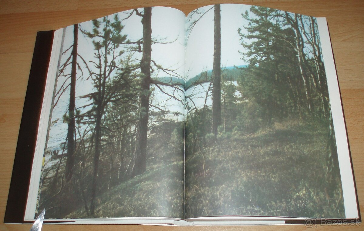 Černý sobol, hnědý medvěd - 8