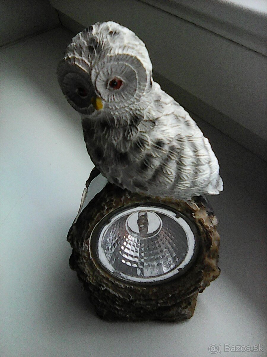 ponúkam soľničku,koreničku... - 8