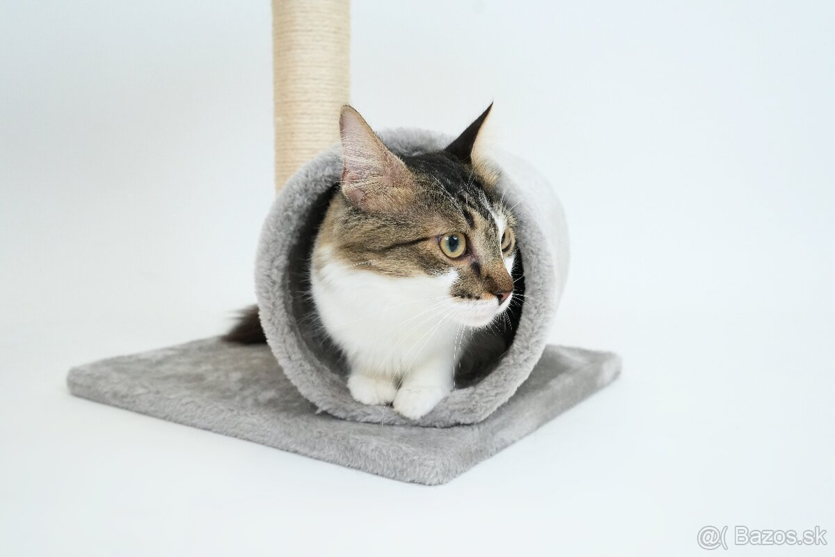 MONTY hľadá domov - 8