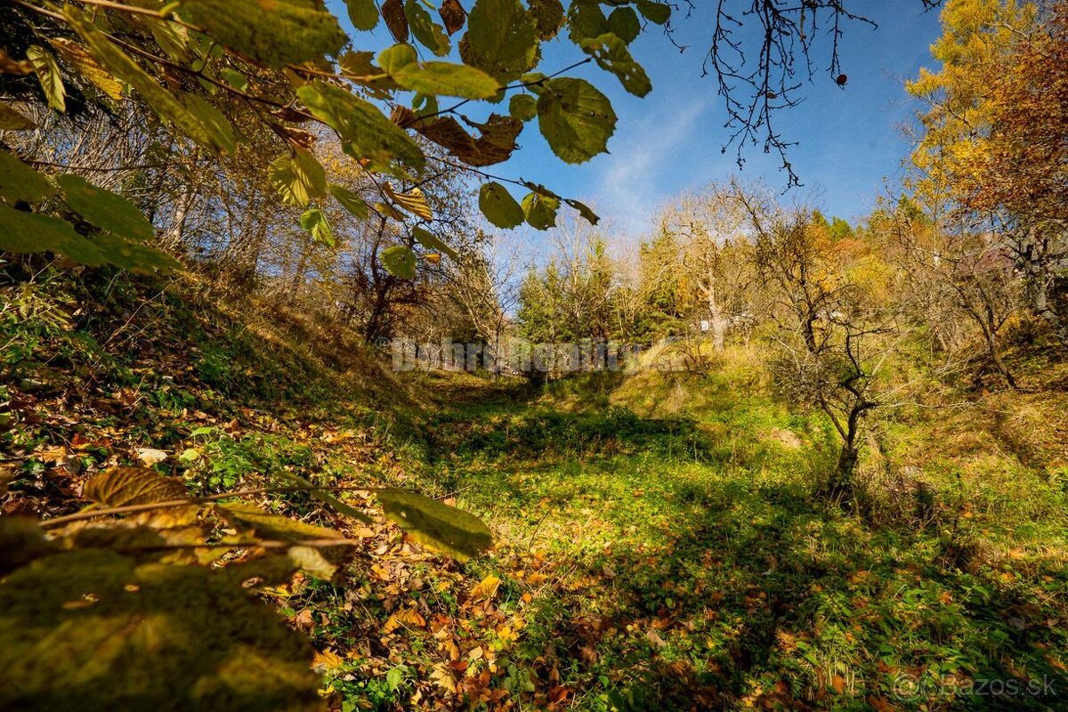 PREDAJ: Tajuplná záhrada s jazierkom a banským potôčikom, 19 - 8