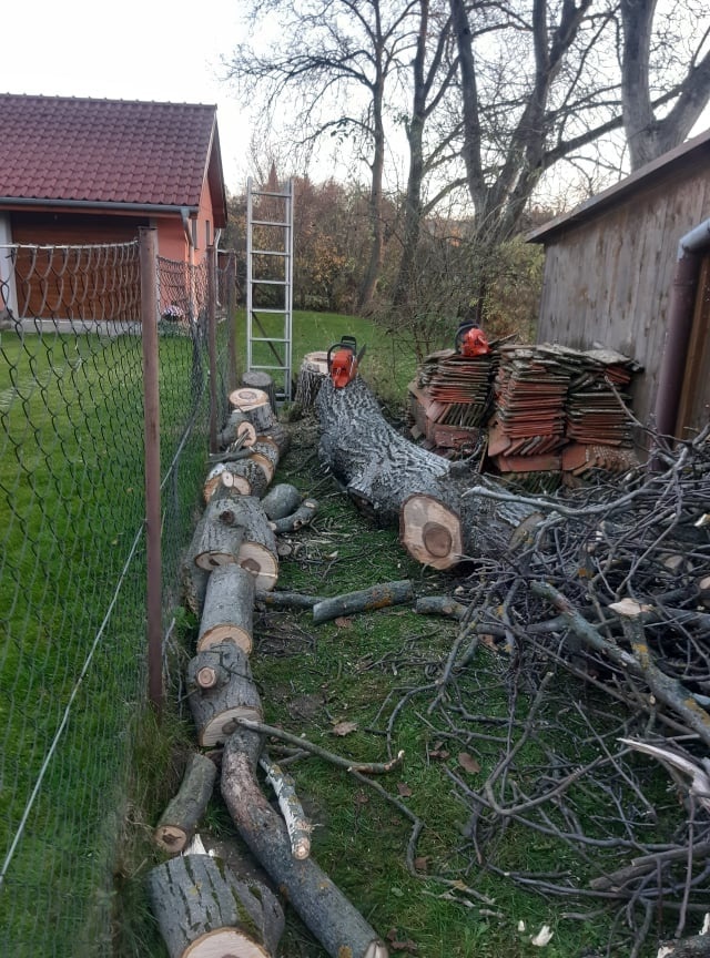 Pílenie a orez stromov - 8