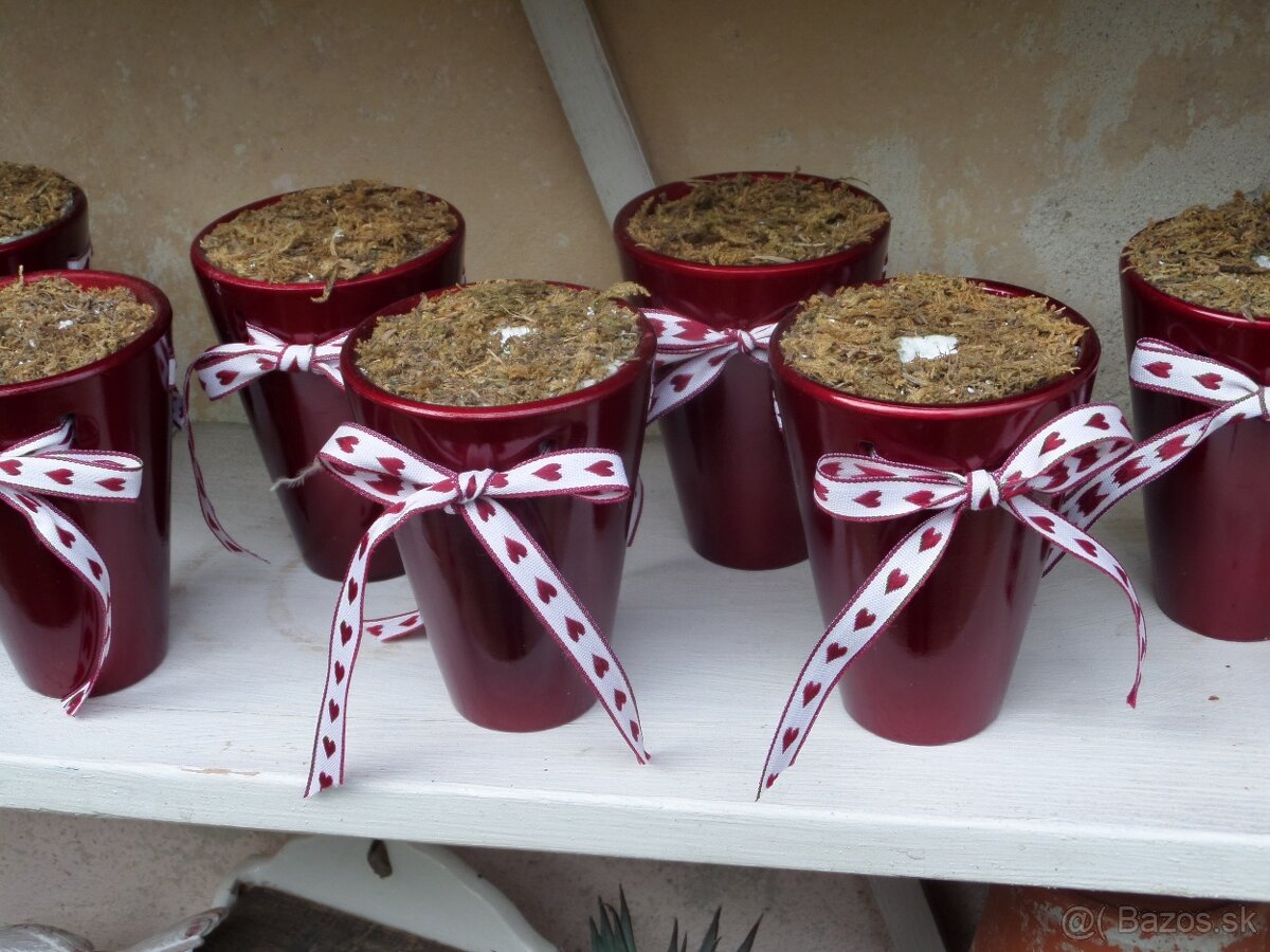 Doplnky na chalupu do červena - 8