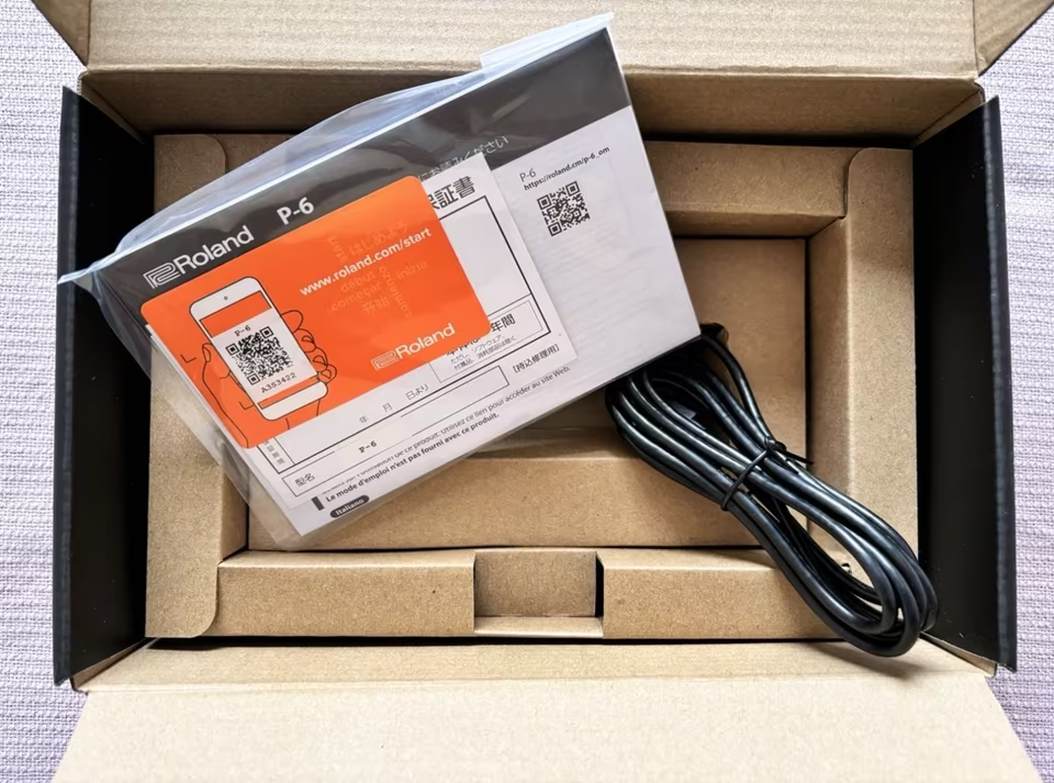 Roland P-6 Compact Creative Sampler - 8