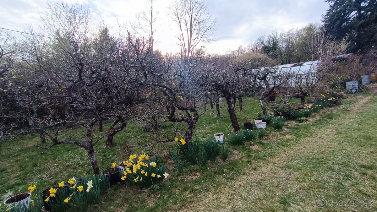 Modra – Harmónia - dva pozemky, každý cca 960 m² - 8