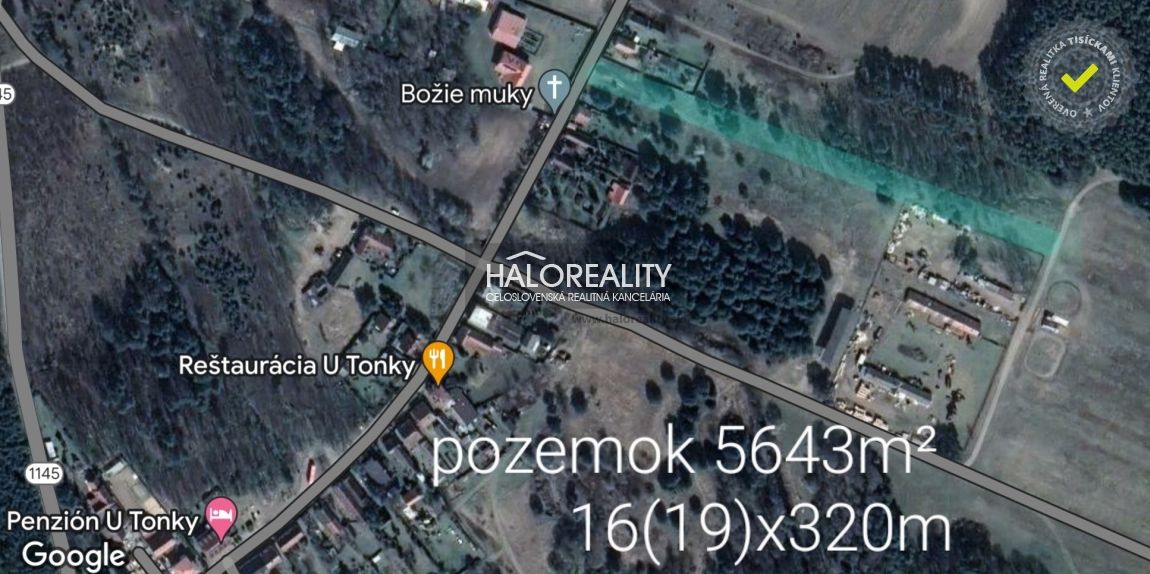 HALO reality - Predaj, pozemok 5643 m2 Borský Svätý Jur, T - 8