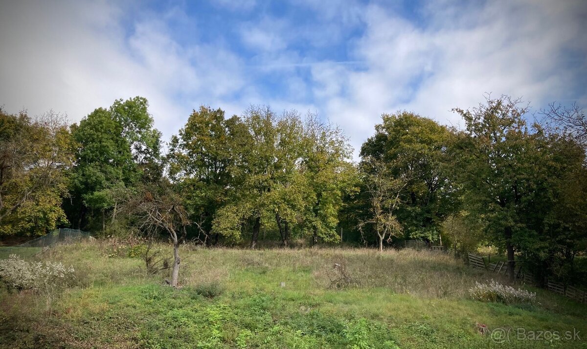 Stavebny pozemok Horne Kosariska - Mosnakovci 2604m2 - 8