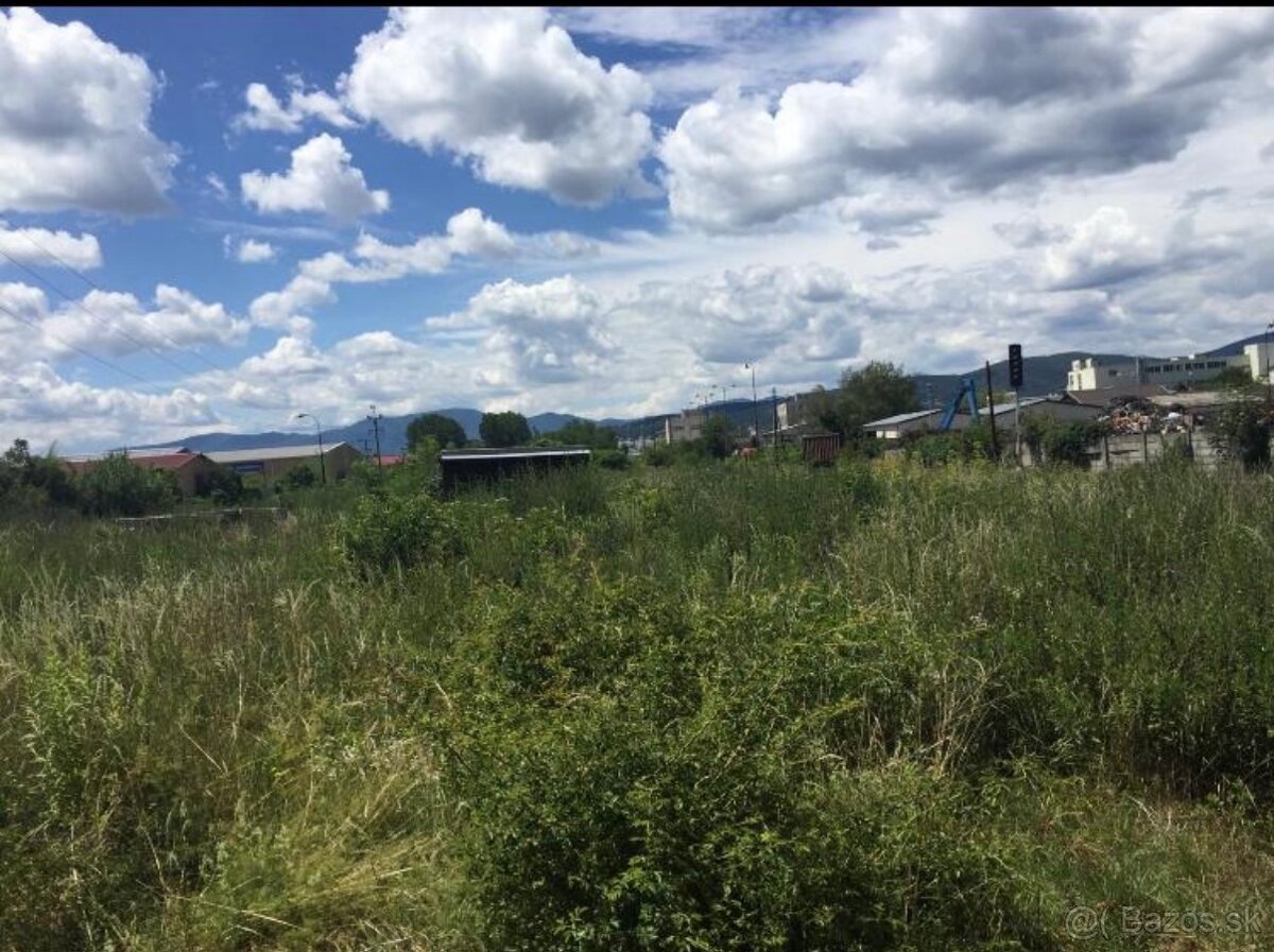 Kosenie-mulčovanie pozemkov//Pílenie//Orez stromov - 8