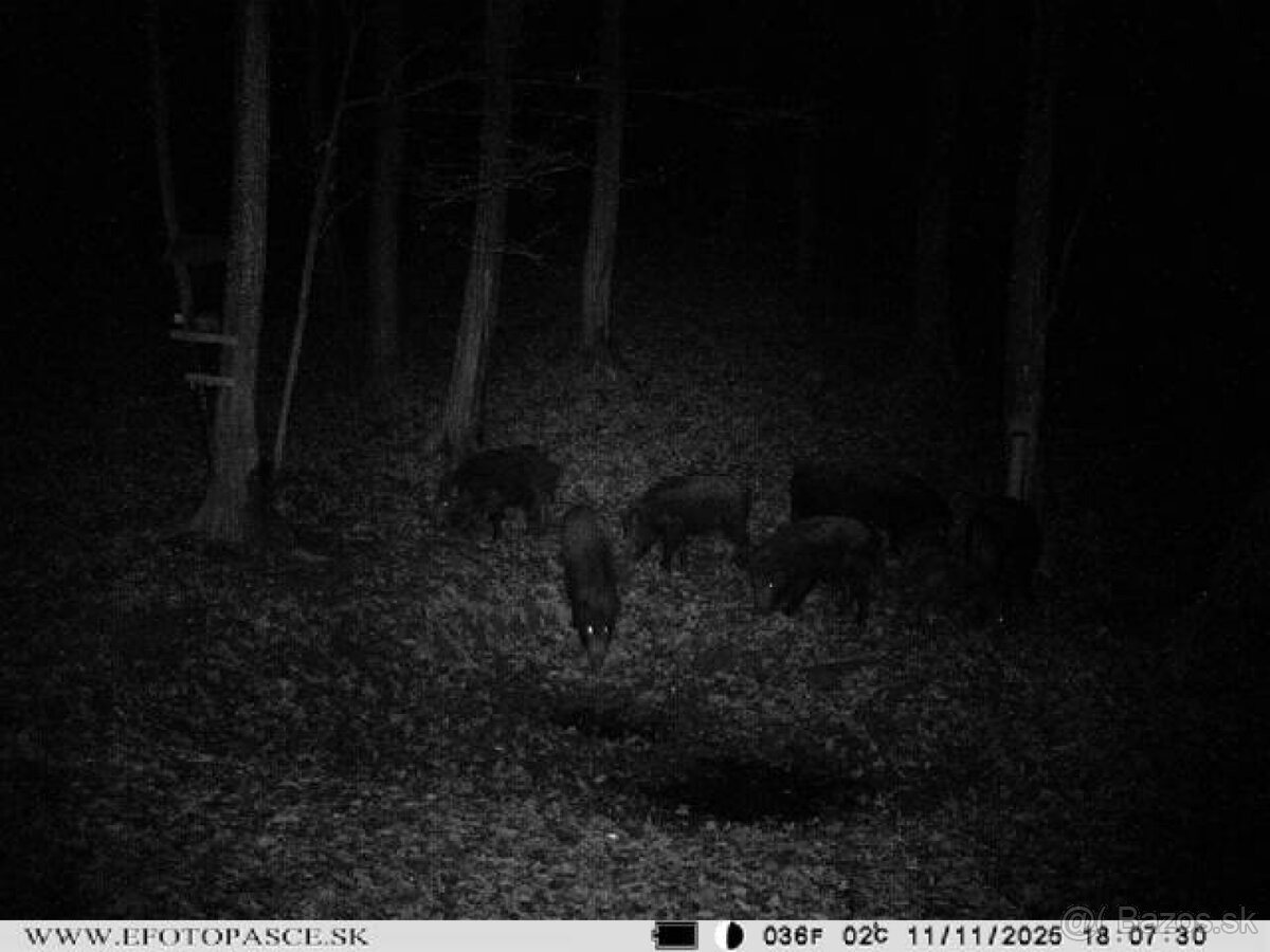 Fotopasca Wettar 7310 2G - 8