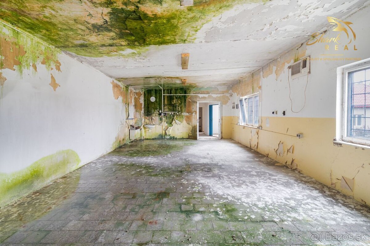 OBCHODNO - SKLADOVÝ PRIESTOR , kaviareň, potraviny alebo iné - 8