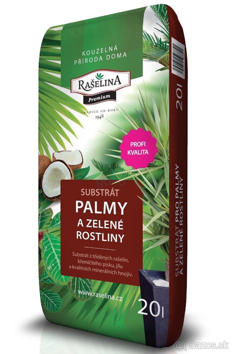 Sadenice mrazuvzdornej palmy Trachycarpus fortunei - 8