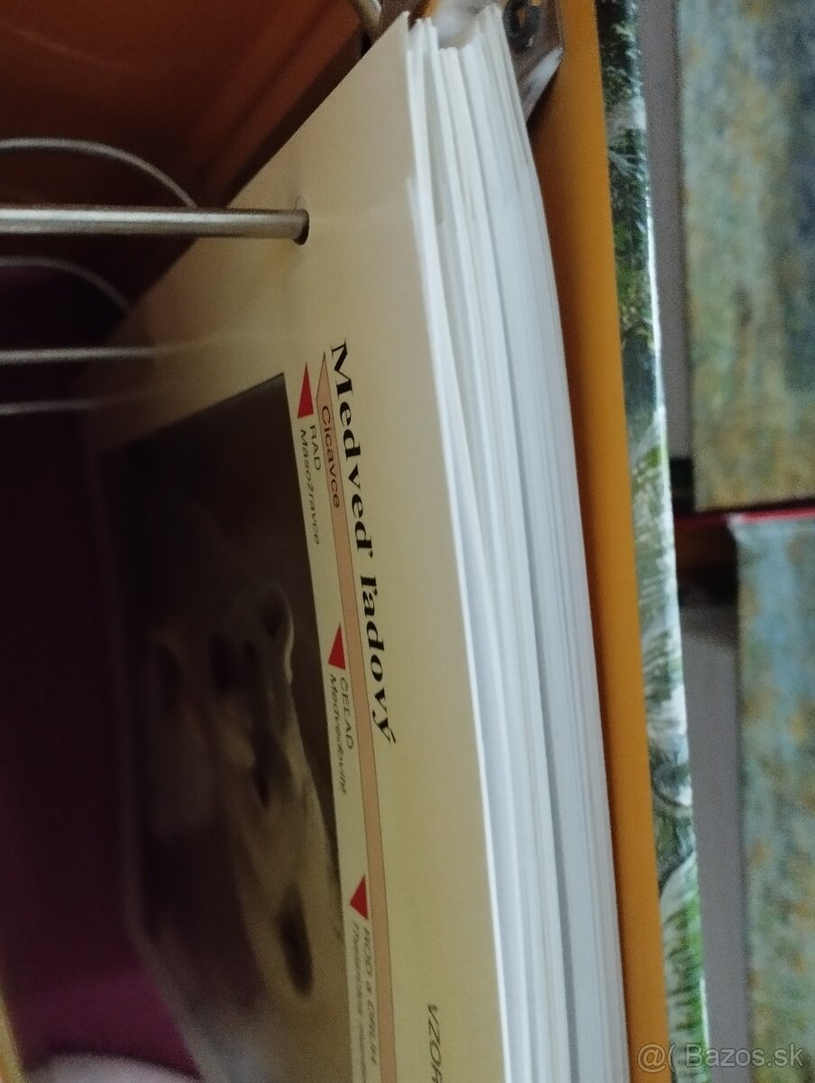 Encyklopédia zvierat - 8